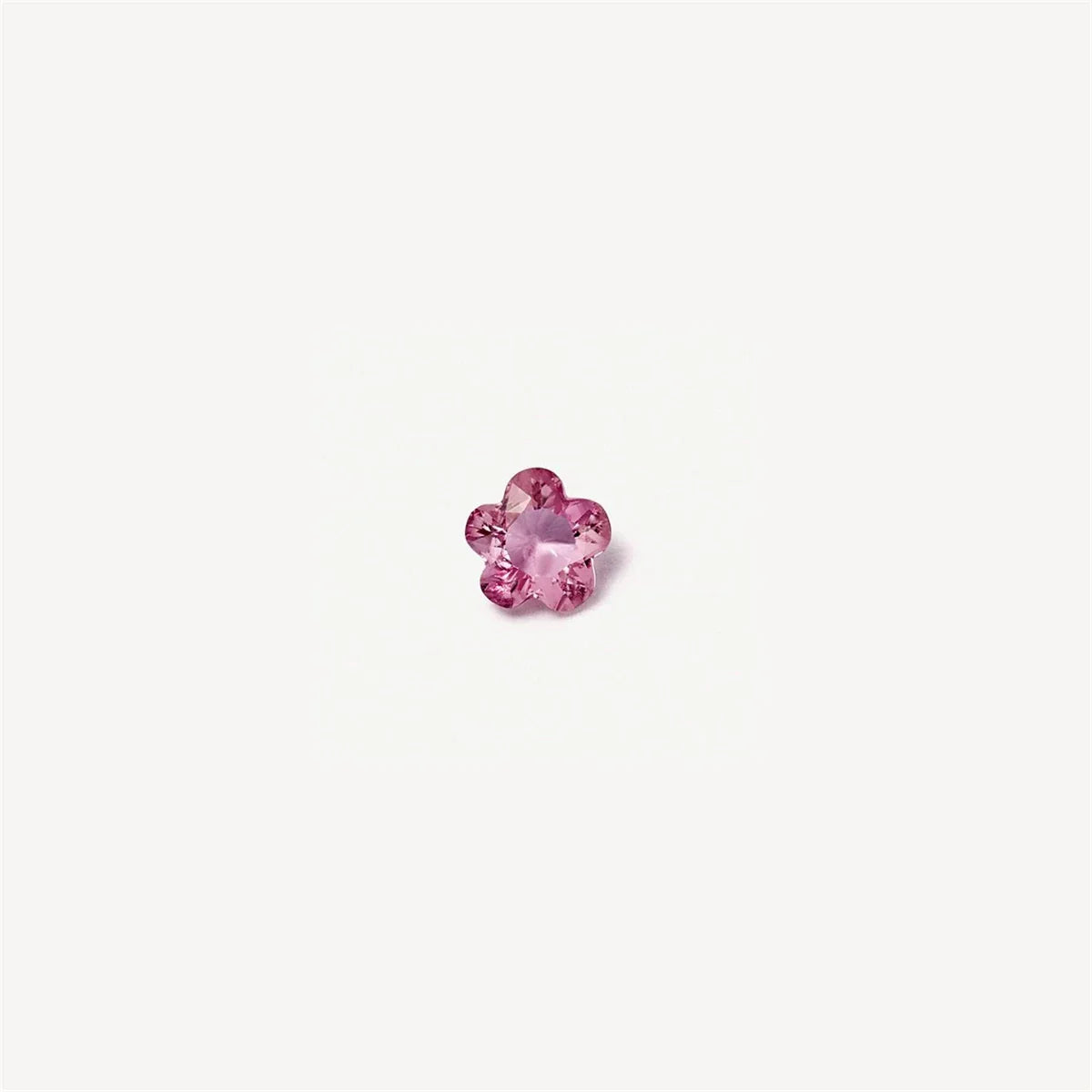 Elyna – Ensemble Ring Charm DIY Erinnerung